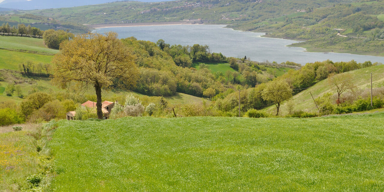 6071810_2329_oasi_wwf_campolattaro