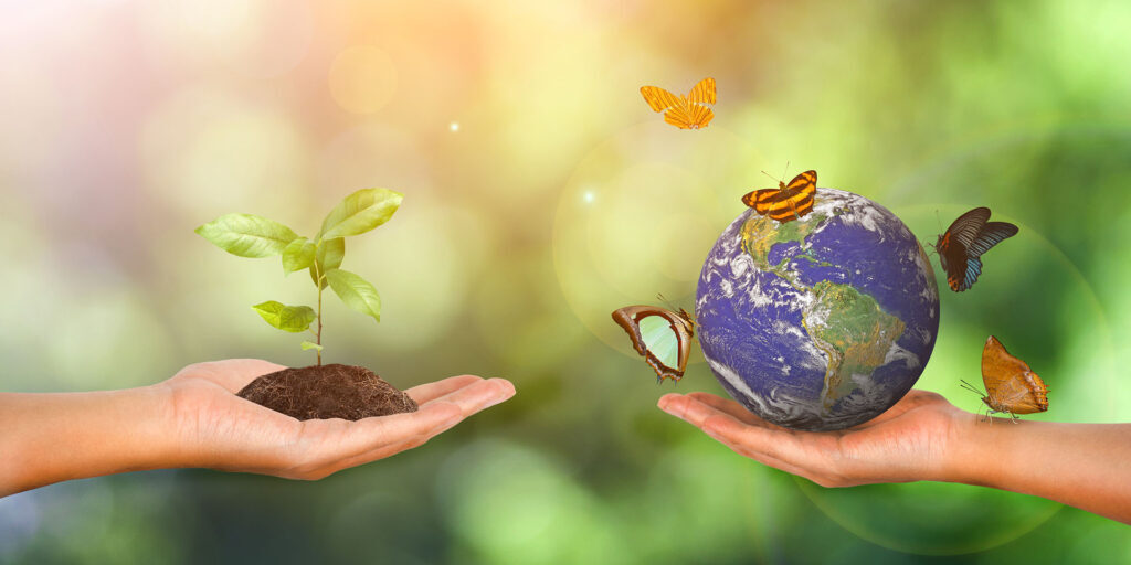 Plant and earth in the hand on green nature background