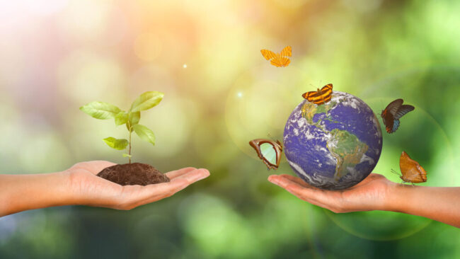 Plant and earth in the hand on green nature background