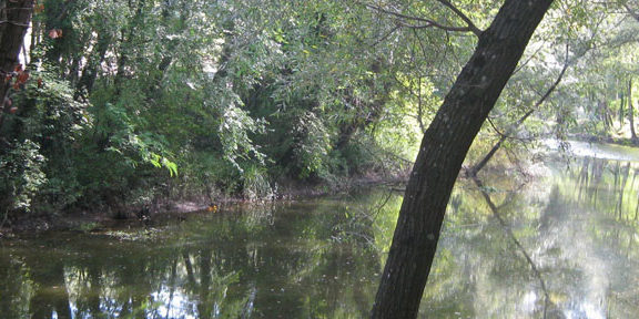 L’Associazione culturale Paese dell’Acqua presenta “Paesi dell’Acqua 2019”