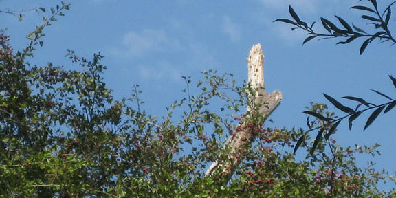 Offerta formativa di Campus città del sapere per assegnazione borse di studio