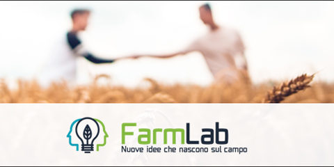 farm lab 1