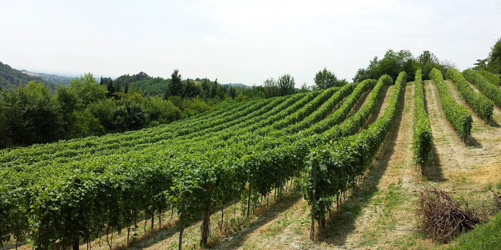 il-territorio-sannita