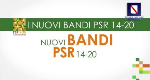 immagine bandi