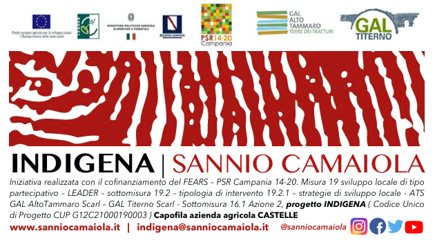 indigena
