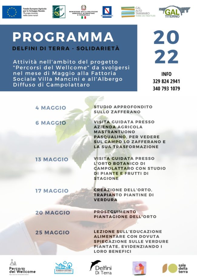 programma delfini e solidarietà maggio